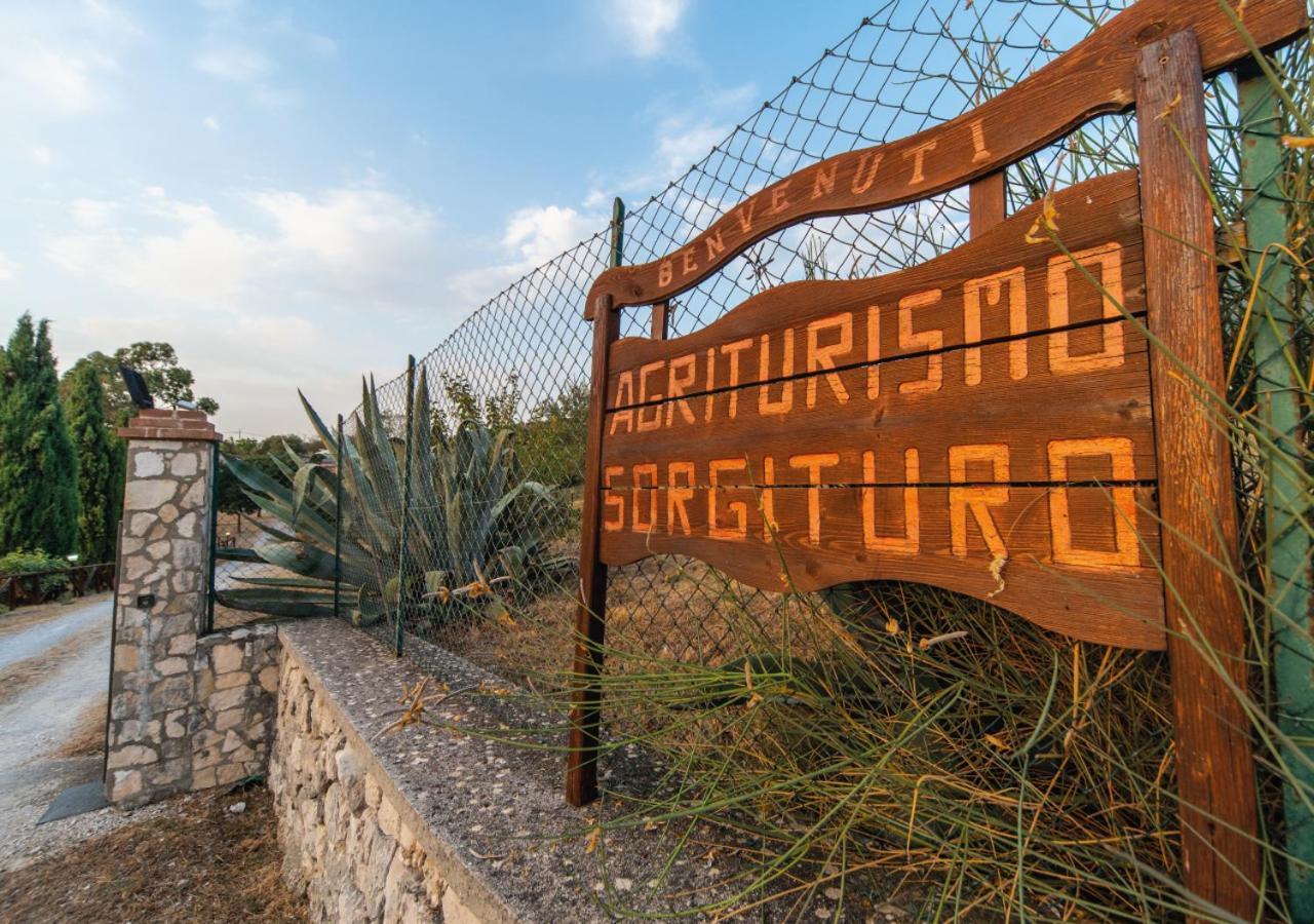 Il Sorgituro - Agriturismo Postiglione Exterior photo